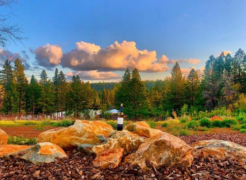 A bottle of wine rests on large rocks, surrounded by lush greenery and a colorful sunset sky with fluffy clouds.