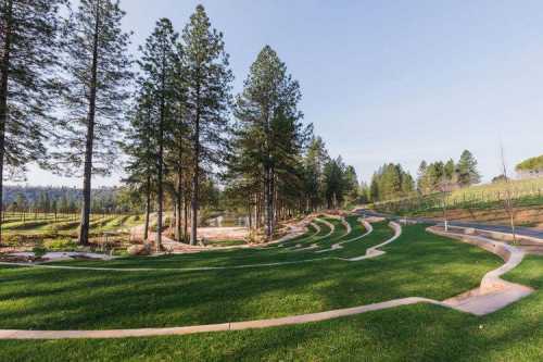 A serene landscape featuring winding pathways through lush green grass and tall pine trees, with a vineyard in the background.