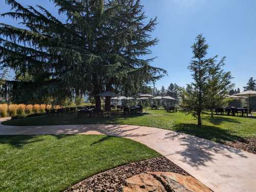 A sunny outdoor space with a large tree, tables under umbrellas, and a winding path through green grass.