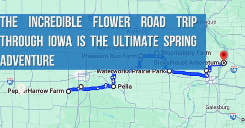 Map highlighting a flower road trip route through Iowa, featuring key stops and attractions for spring adventures.