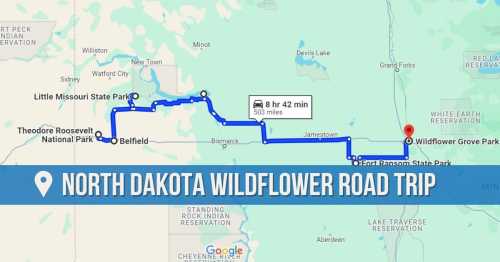 Map showing a road trip route through North Dakota, highlighting parks and travel time of 8 hours 42 minutes.