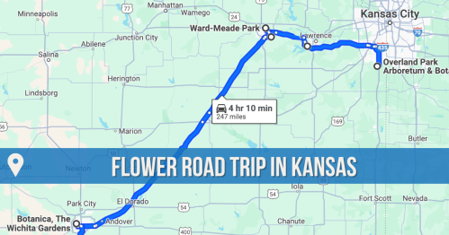 Map showing a flower road trip route in Kansas, highlighting stops at Botanica and Ward-Meade Park. Total distance: 247 miles.