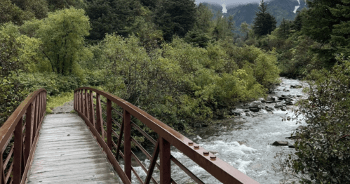 A wooden bridge spans a flowing river, surrounded by lush greenery and mountains in the background.