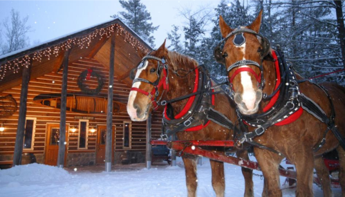 Two horses in harness stand in front of a cozy log cabin, surrounded by snow and festive lights.