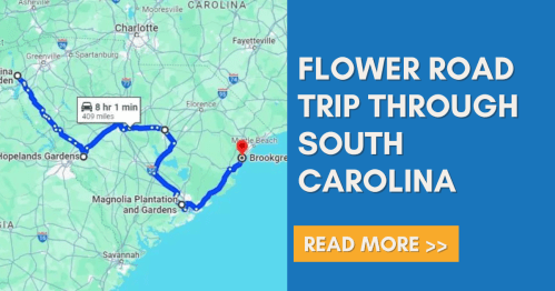 Map showing a flower road trip route through South Carolina, with a highlighted path and text promoting the trip.