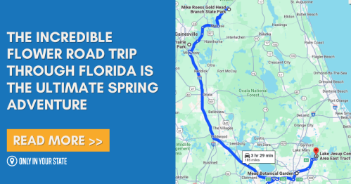 Map highlighting a flower road trip route in Florida, with text promoting a spring adventure.
