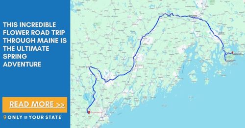 Map of a scenic flower road trip route through Maine, highlighting the ultimate spring adventure.