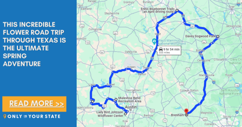 Map highlighting a scenic flower road trip route in Texas, featuring key locations and travel times.