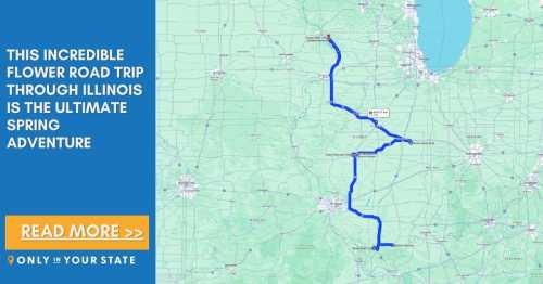 Map highlighting a flower road trip route through Illinois, promoting a spring adventure.