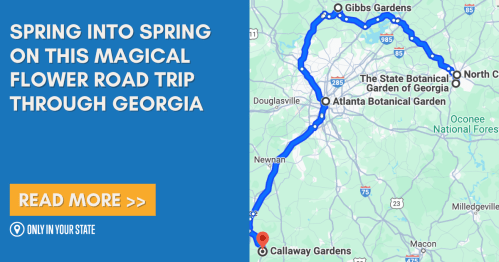 Map highlighting a flower road trip through Georgia, featuring gardens like Gibbs and Callaway Gardens.