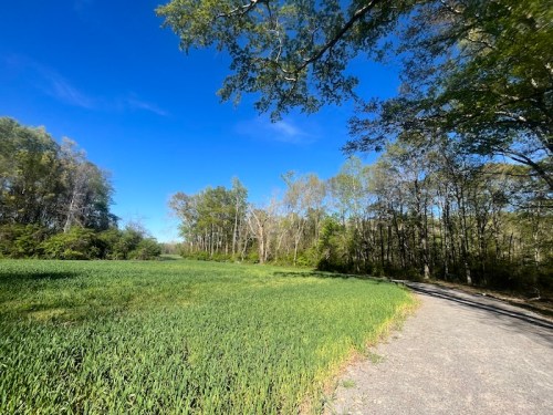 A scenic path winds through a green field, bordered by trees under a clear blue sky.