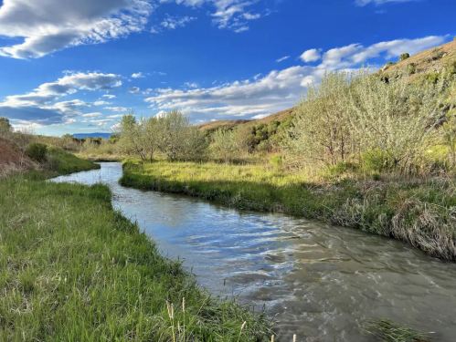 A serene river flows through lush green grass and trees under a blue sky with scattered clouds.