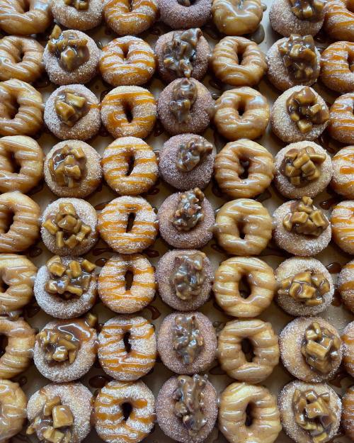 A colorful assortment of mini donuts topped with various glazes and toppings, arranged in neat rows.