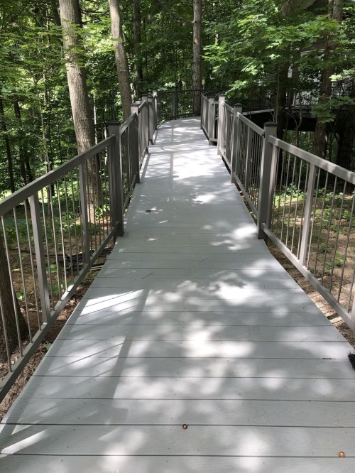A wooden walkway with metal railings, surrounded by trees and dappled sunlight in a forested area.