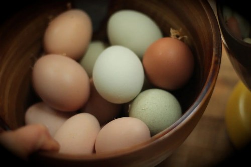 A bowl filled with various colored eggs, including brown, green, and pale shades, arranged closely together.