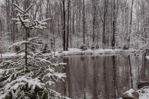 A serene winter scene with a snowy landscape, trees, and a calm pond reflecting the surrounding forest.