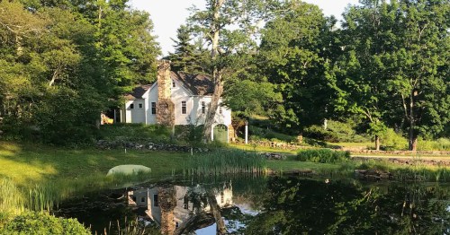 A serene house by a pond, surrounded by lush greenery and trees, reflecting in the calm water.