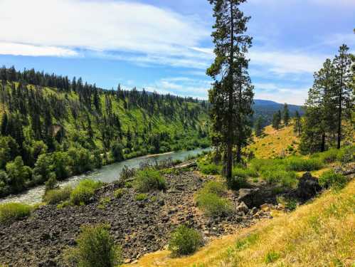 A scenic view of a river winding through green hills, surrounded by trees and rocky terrain under a blue sky.