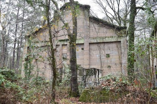 Abandoned building covered in vines and moss, surrounded by trees and overgrown vegetation in a forested area.