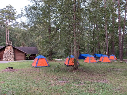 A campsite with several orange and blue tents set up among tall trees, near a log cabin in a wooded area.