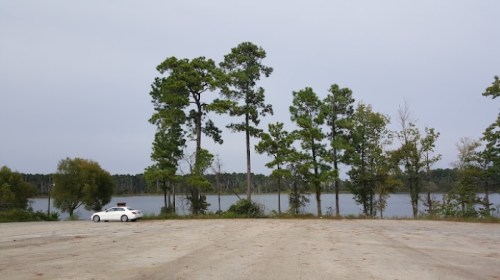 A serene lakeside view with tall trees and a white car parked on a gravel lot under a cloudy sky.