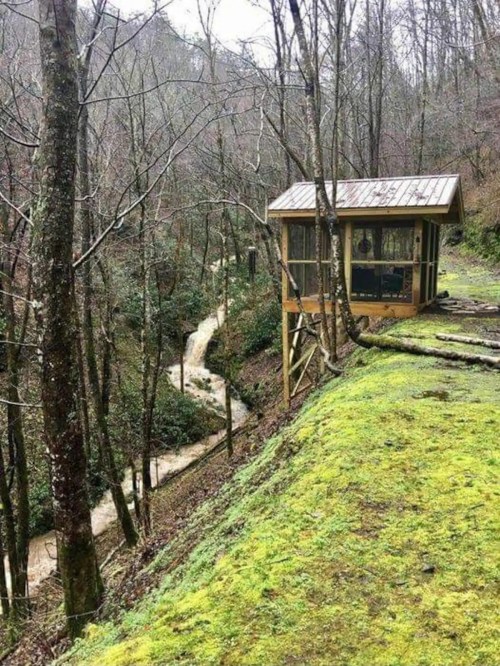 A wooden cabin on stilts beside a winding path through a forest, surrounded by bare trees and mossy ground.