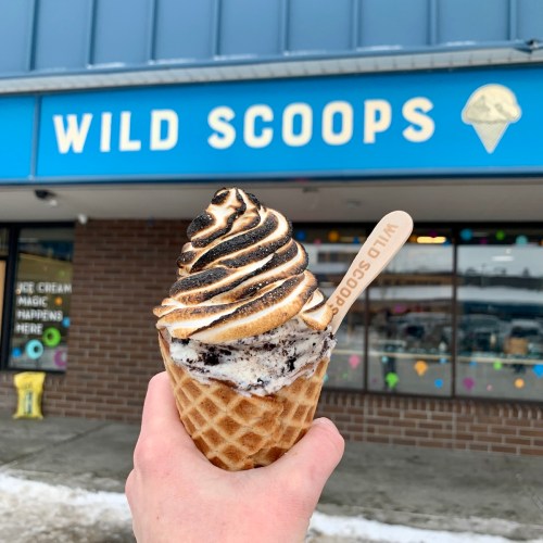 A hand holds a swirled ice cream cone in front of a shop sign that reads "Wild Scoops."