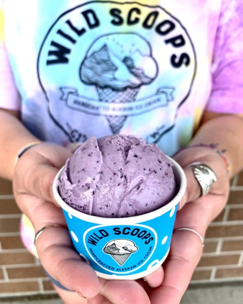 A person holds a blue cup of purple ice cream with the logo "Wild Scoops" on it, wearing a tie-dye shirt.