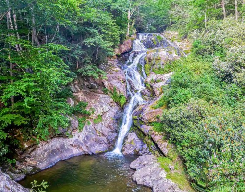 A serene waterfall cascading over rocky terrain, surrounded by lush green trees and foliage.