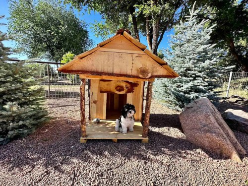 A dog sits in a wooden doghouse surrounded by trees and rocks in a sunny outdoor setting.