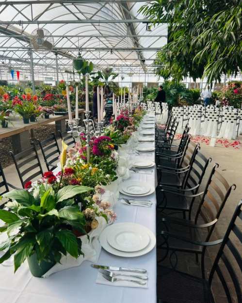 A long dining table set with flowers and candles in a greenhouse filled with vibrant plants.