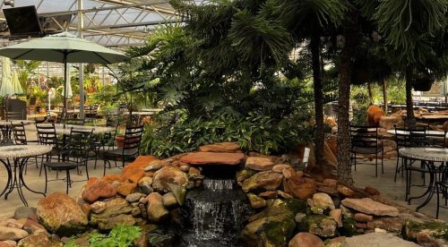 A serene indoor garden with a small waterfall, rocks, and lush greenery, surrounded by tables and chairs.
