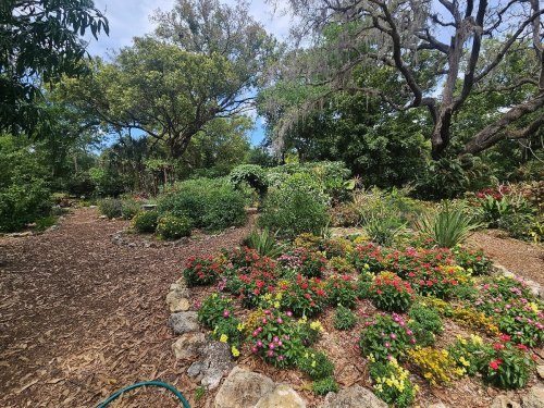 A vibrant garden filled with colorful flowers, lush greenery, and trees under a clear blue sky.