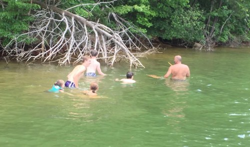 A group of people wading in a green lake, surrounded by trees and shallow water.