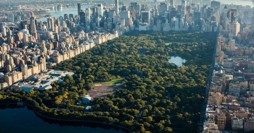 Aerial view of Central Park surrounded by skyscrapers, showcasing lush greenery and a large crowd in the park.