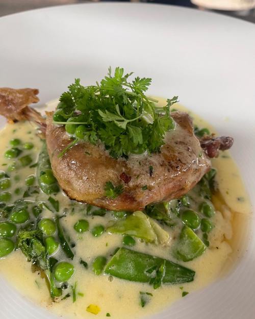 A plated dish featuring tender meat topped with fresh herbs, surrounded by green peas and a creamy sauce.