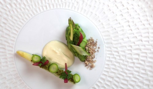A gourmet dish featuring asparagus, creamy sauce, and garnishes on a textured white plate.