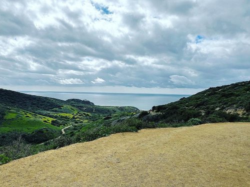 A scenic view of rolling green hills leading to the ocean under a cloudy sky.