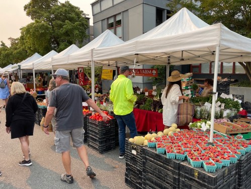 A bustling farmers market with vendors under white tents, showcasing fresh produce and shoppers browsing the stalls.