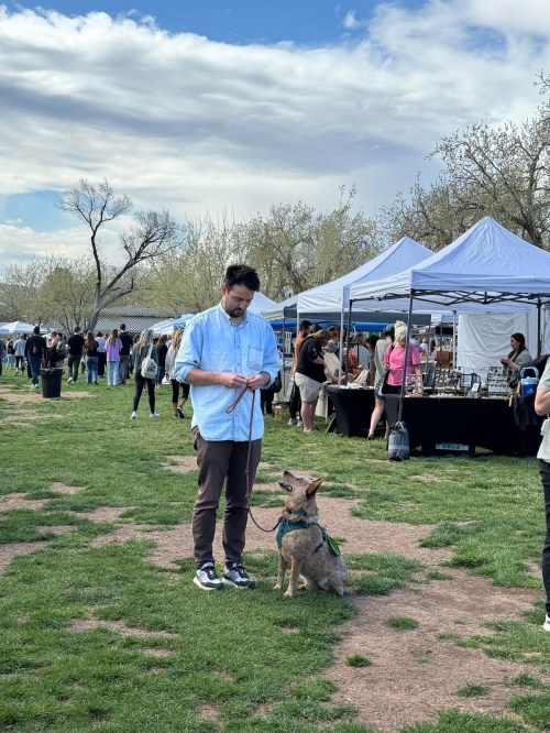 A man stands on grass with a dog beside him, surrounded by market stalls and people in the background.