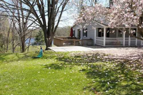 A serene backyard scene featuring a house, blooming trees, and a view of a lake in the distance on a sunny day.