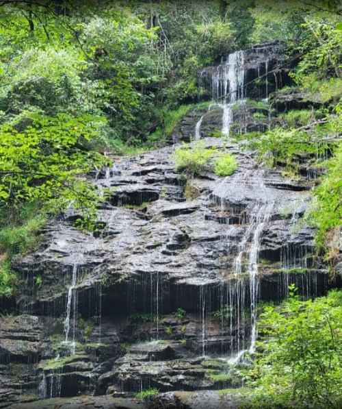 A serene waterfall cascading down rocky cliffs, surrounded by lush green foliage and trees.