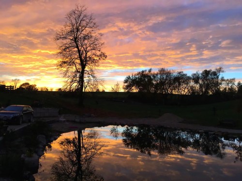 A serene sunset over a pond, with vibrant colors reflecting on the water and silhouetted trees in the foreground.