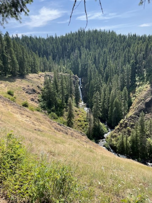 A scenic view of a waterfall cascading through a lush green forested valley under a clear blue sky.