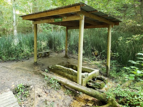 A wooden shelter over a natural spring, surrounded by lush greenery and a bench nearby.