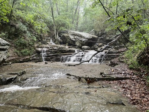 A serene forest scene featuring a small waterfall cascading over rocks, surrounded by lush greenery and mist.