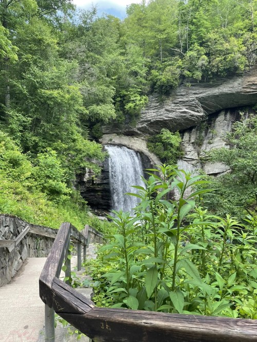 A serene waterfall cascades down rocky cliffs, surrounded by lush greenery and a winding stone pathway.
