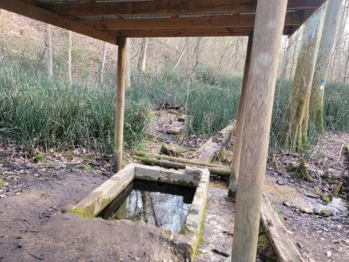 A wooden shelter over a small stone water trough, surrounded by greenery and trees in a forested area.