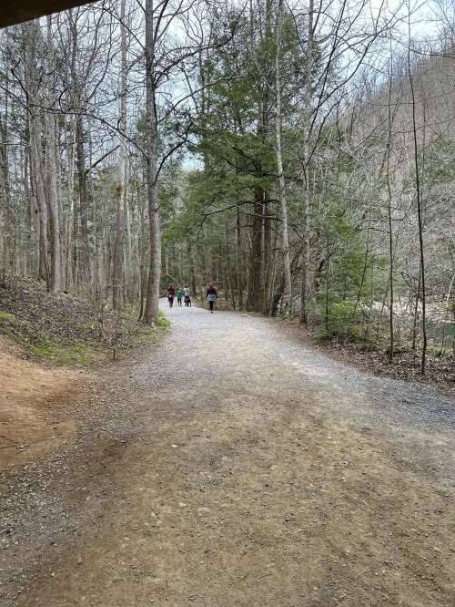 A gravel path winds through a forest, with a group of people walking in the distance among trees and greenery.