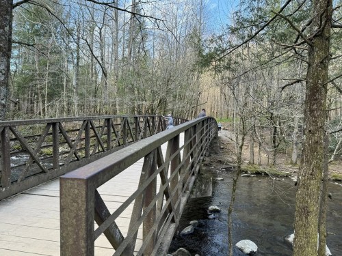 A wooden bridge spans a stream, surrounded by trees and a peaceful natural landscape.